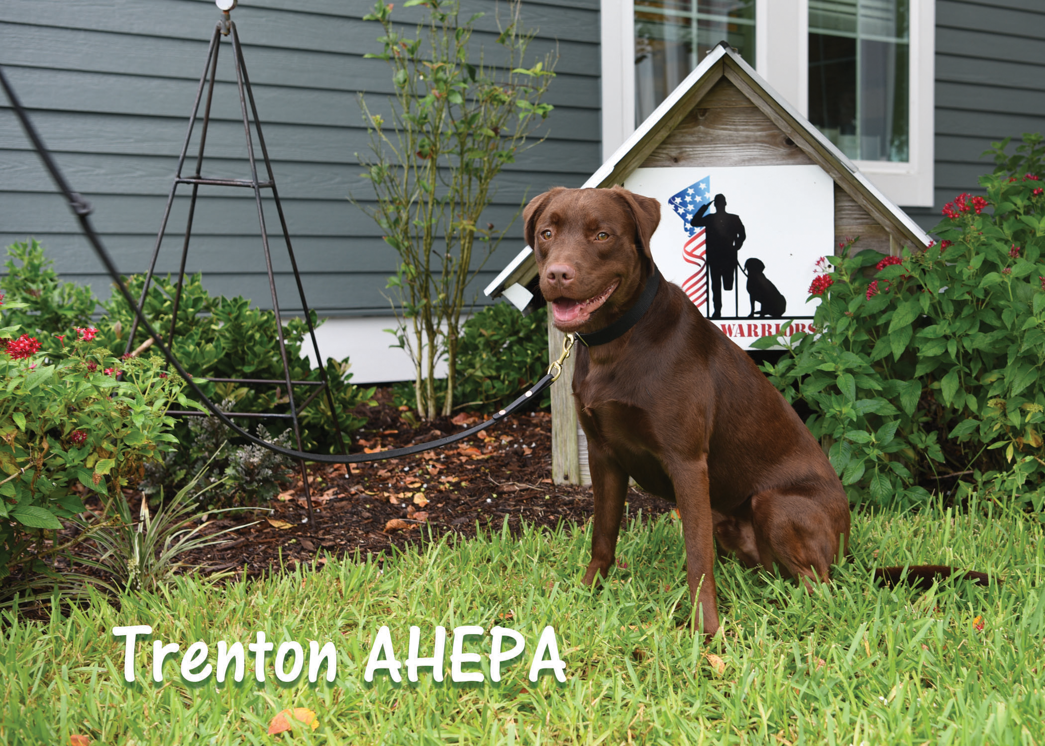 Trenton AHEPA ~ AHEPA Service Dogs for Warriors 